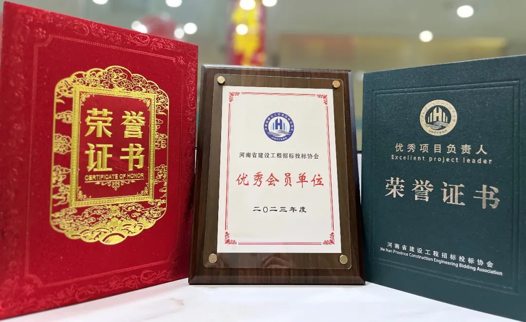 喜报丨飞洋咨询荣获“2023年度优秀会员单位”、“2023年度优秀项目负责人”等荣誉称号